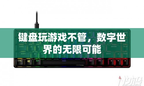 數(shù)字世界的無限可能，探索鍵盤之外的樂趣