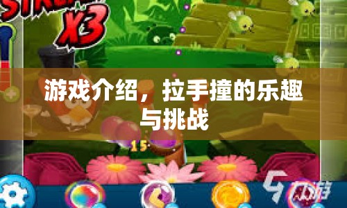 拉手撞，探索樂(lè)趣與挑戰(zhàn)的奇妙游戲