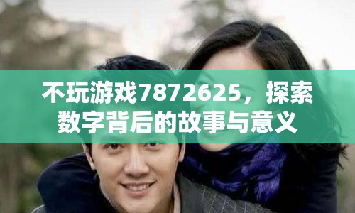 7872625，數(shù)字背后的故事與意義探索