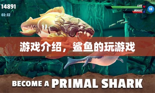 鯊魚的游戲世界，探索海洋的冒險(xiǎn)之旅