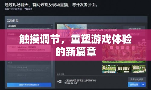 觸摸調節(jié)，重塑游戲體驗的新篇章