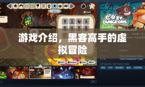 黑客高手的虛擬冒險(xiǎn)之旅  第1張
