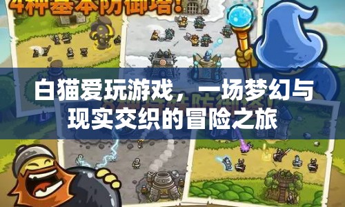 白貓愛玩游戲，夢幻與現(xiàn)實(shí)交織的冒險(xiǎn)之旅