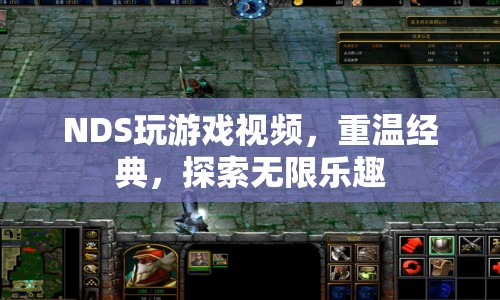 重溫經(jīng)典，探索無限樂趣，NDS游戲視頻來襲！  第1張