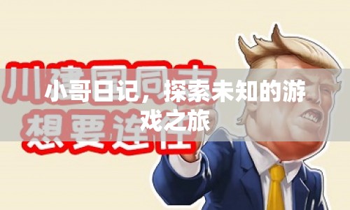 小哥日記，踏上探索未知的游戲之旅