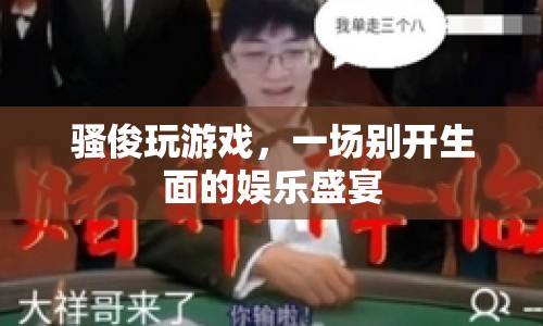 騷俊游戲盛宴，娛樂與激情的碰撞