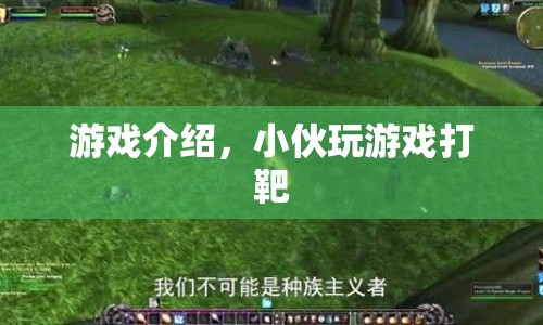 小伙打靶游戲，精準(zhǔn)射擊，挑戰(zhàn)極限