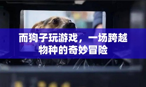 狗子玩游戲，一場跨越物種的奇妙冒險