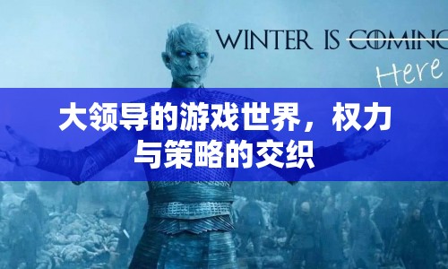 大領(lǐng)導(dǎo)的游戲世界，權(quán)力與策略的交織