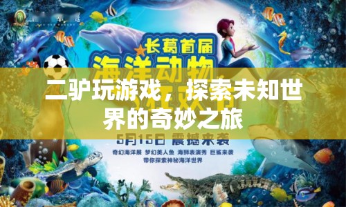 二驢游戲探索，未知世界的奇妙冒險(xiǎn)之旅