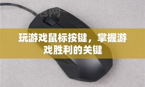 掌握游戲勝利的關(guān)鍵，優(yōu)化鼠標按鍵設(shè)置