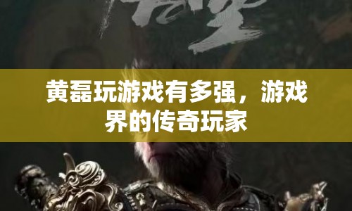 黃磊，游戲界的傳奇玩家