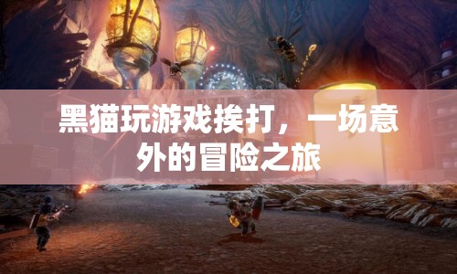 黑貓意外冒險，游戲挨打之旅