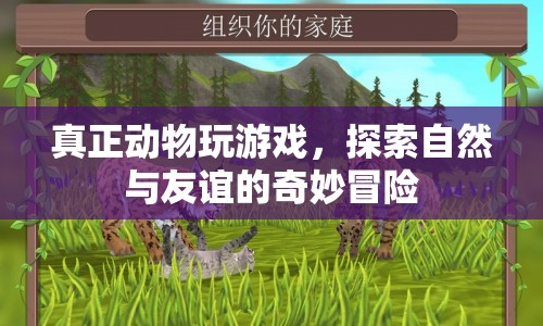 動(dòng)物游戲，探索自然與友誼的奇妙冒險(xiǎn)