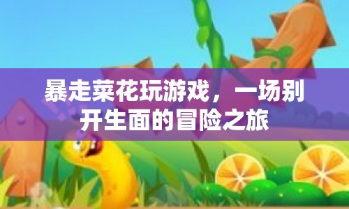 暴走菜花，一場別開生面的游戲冒險之旅