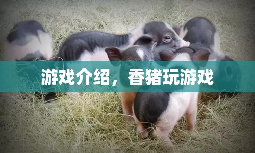 香豬玩游戲，趣味橫生的游戲介紹