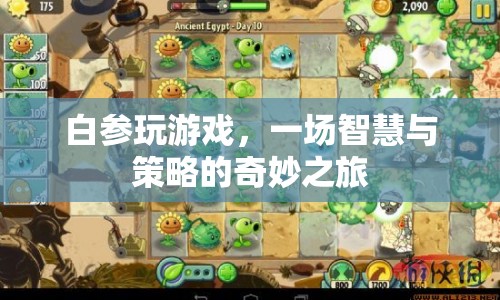 白參的智慧與策略之旅，游戲里的奇妙探索