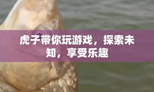 虎子帶你探索未知，享受游戲樂趣