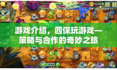 四保玩游戲，策略與合作的奇妙之旅