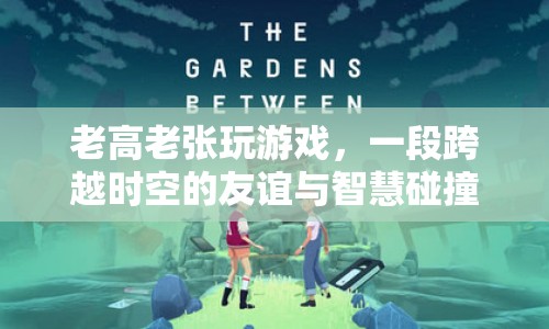 老高老張，時空友誼與智慧碰撞的奇妙之旅