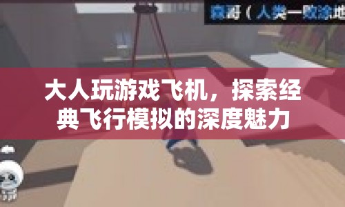大人玩飛行模擬，探索經(jīng)典游戲的深度魅力