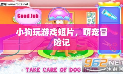 萌寵冒險記，小狗的歡樂游戲時光