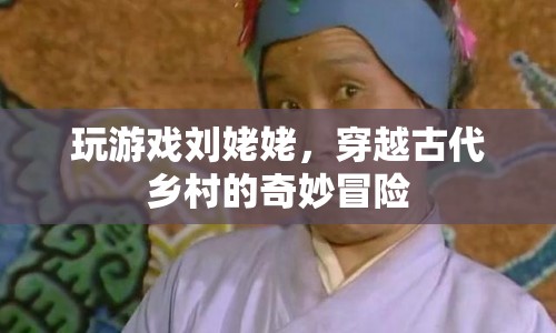 劉姥姥穿越古代鄉(xiāng)村，一場(chǎng)奇妙冒險(xiǎn)的冒險(xiǎn)之旅