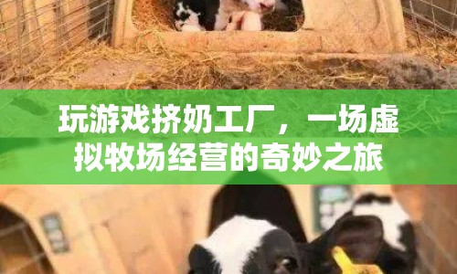 擠奶工廠虛擬牧場經(jīng)營之旅，奇妙體驗與經(jīng)營挑戰(zhàn)