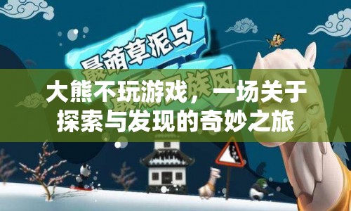 大熊的奇妙探索之旅，不玩游戲的冒險(xiǎn)  第1張