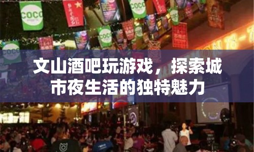 探索城市夜生活魅力，文山酒吧的趣味游戲