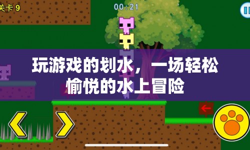 水上冒險，輕松愉悅的劃水之旅