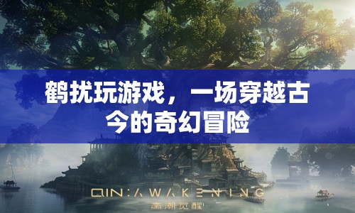鶴擾玩游戲，穿越古今的奇幻冒險