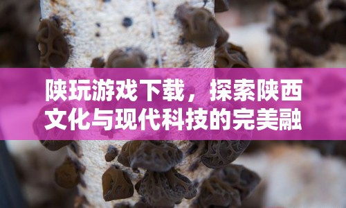 探索陜西文化與現(xiàn)代科技的完美融合，陜玩游戲下載  第1張