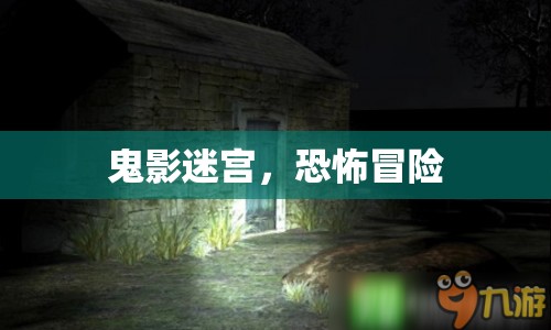 鬼影迷宮，恐怖冒險之旅