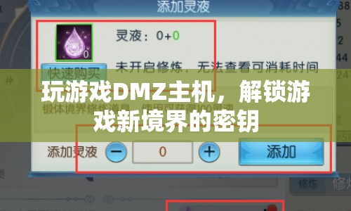 解鎖游戲新境界，DMZ主機(jī)如何成為你的游戲利器？