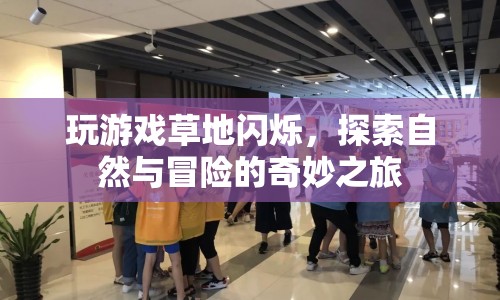 探索自然與冒險的奇妙之旅，草地閃爍的奇妙游戲