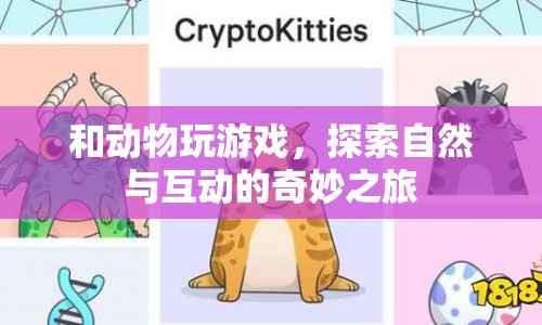 與動(dòng)物共舞，探索自然與互動(dòng)的奇妙之旅