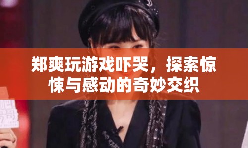 鄭爽游戲驚魂，驚悚與感動(dòng)交織的奇妙體驗(yàn)