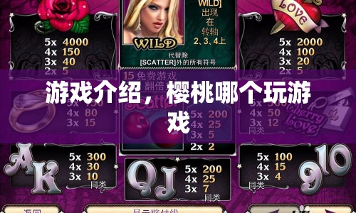 櫻桃游戲，探索無(wú)限樂(lè)趣的冒險(xiǎn)之旅