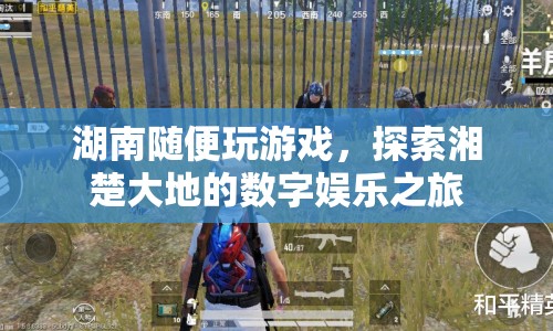 探索湘楚大地的數(shù)字娛樂之旅，湖南隨便玩游戲