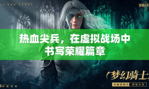 熱血尖兵，虛擬戰(zhàn)場上的榮耀篇章