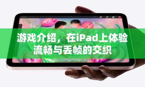 iPad游戲，流暢與丟幀的交織體驗(yàn)