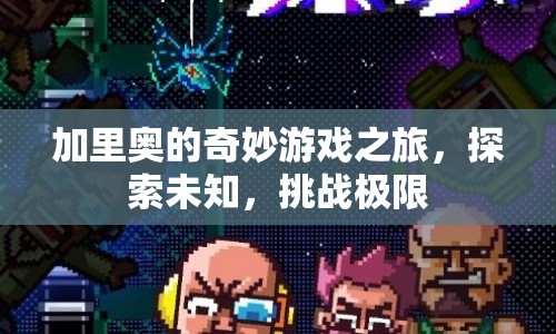 加里奧的冒險(xiǎn)之旅，探索未知，挑戰(zhàn)極限