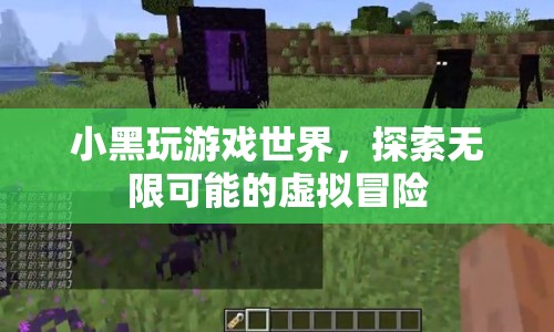 小黑探索虛擬世界，無(wú)限可能的冒險(xiǎn)之旅