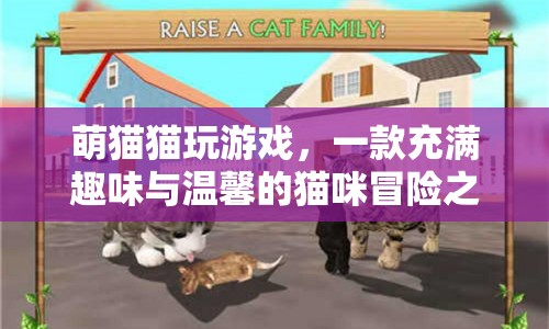 萌貓貓玩游戲，貓咪冒險之旅開啟溫馨趣味之旅