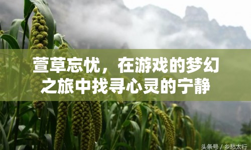萱草忘憂，夢幻之旅中的心靈寧靜