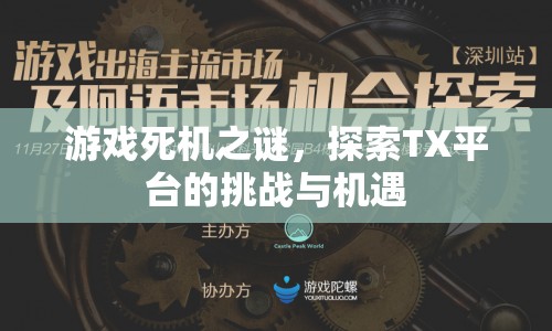 探索TX平臺(tái)，游戲死機(jī)之謎的挑戰(zhàn)與機(jī)遇