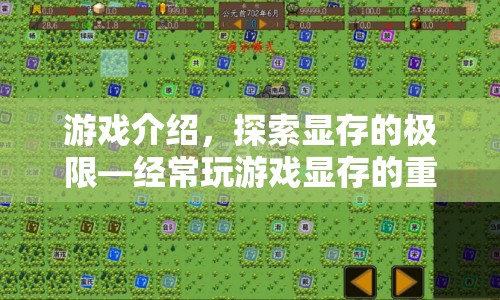 探索顯存的極限，游戲玩家必看，顯存對游戲體驗的重要性！