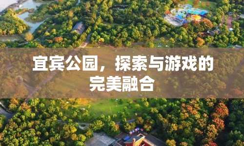 宜賓公園，探索與游戲的完美融合之地