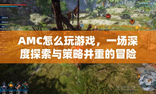 AMC，深度探索與策略并重的冒險之旅